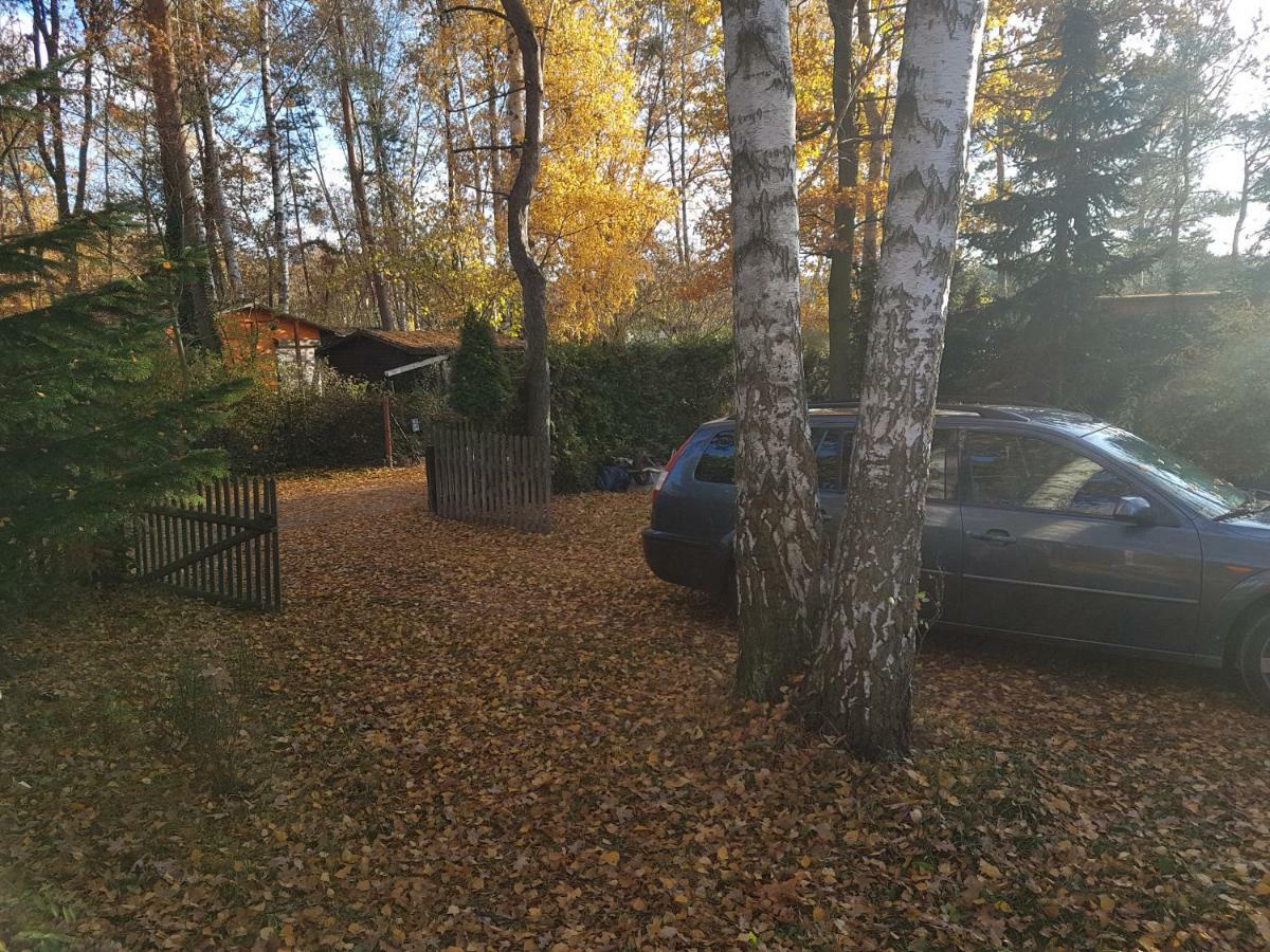 Vila Gemutlicher Ferienbungalow Am Felsensee Bei Pretzien Exteriér fotografie