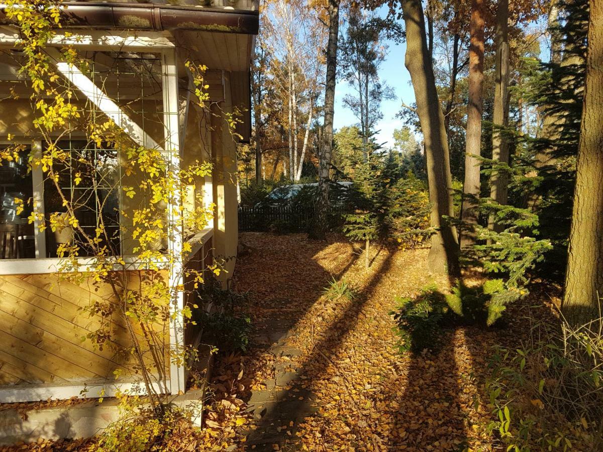 Vila Gemutlicher Ferienbungalow Am Felsensee Bei Pretzien Exteriér fotografie